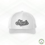 BDS Slots Script Mesh Snapback