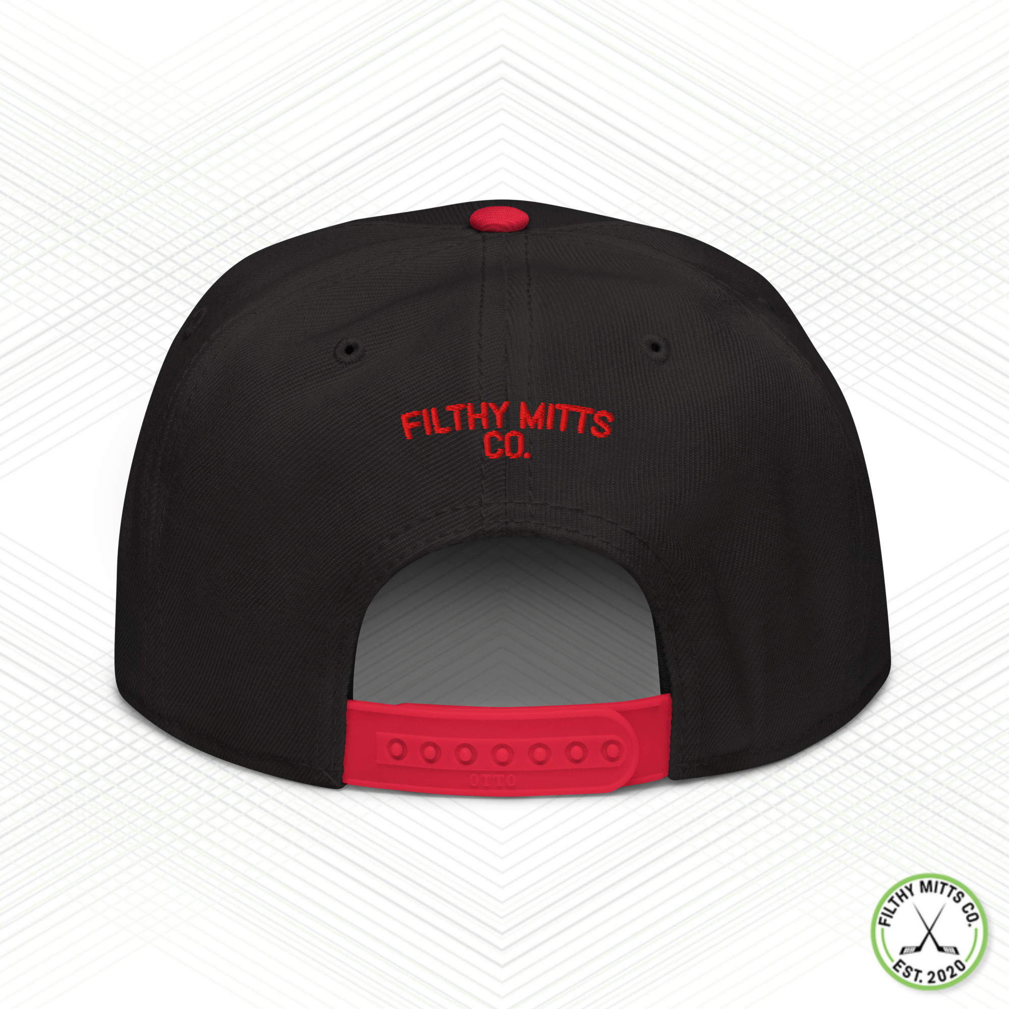 Earn Your Feathers - Chicago Snapback Hat