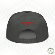Earn Your Feathers - Chicago Snapback Hat