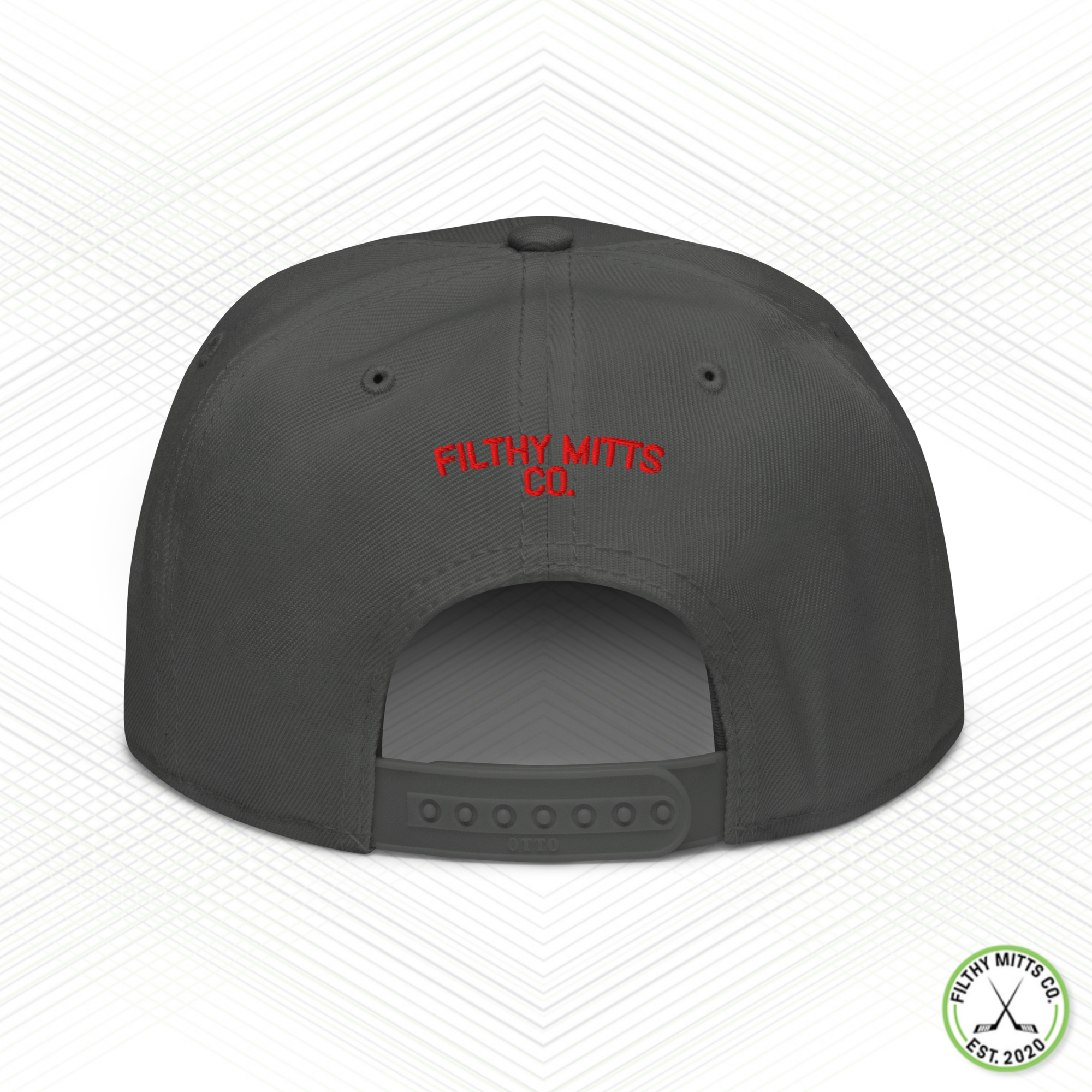 Earn Your Feathers - Chicago Snapback Hat