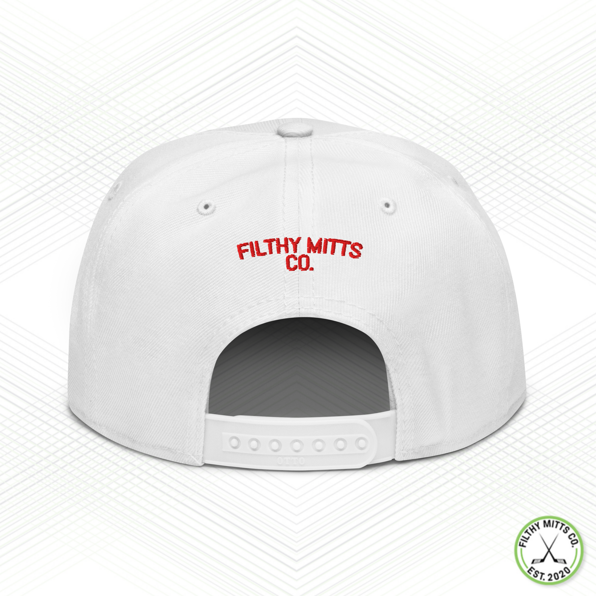 Earn Your Feathers - Chicago Snapback Hat