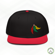 Earn Your Feathers - Chicago Snapback Hat