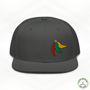 Earn Your Feathers - Chicago Snapback Hat