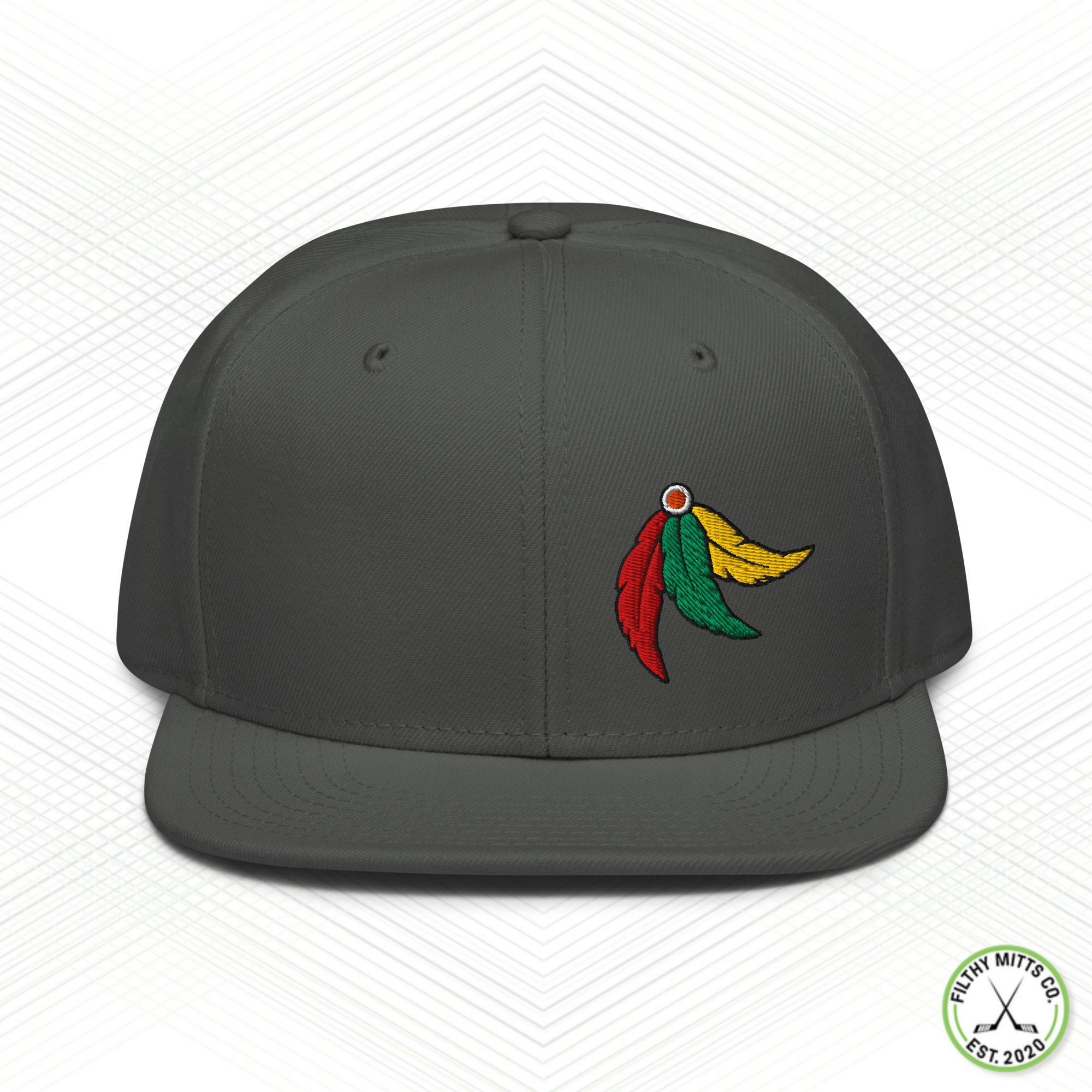 Earn Your Feathers - Chicago Snapback Hat