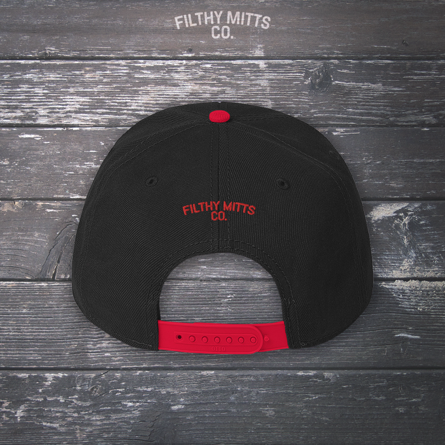 Earn Your Feathers - Chicago Snapback Hat