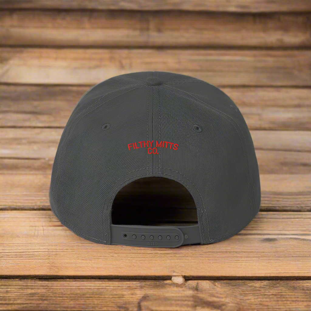 Earn Your Feathers - Chicago Snapback Hat